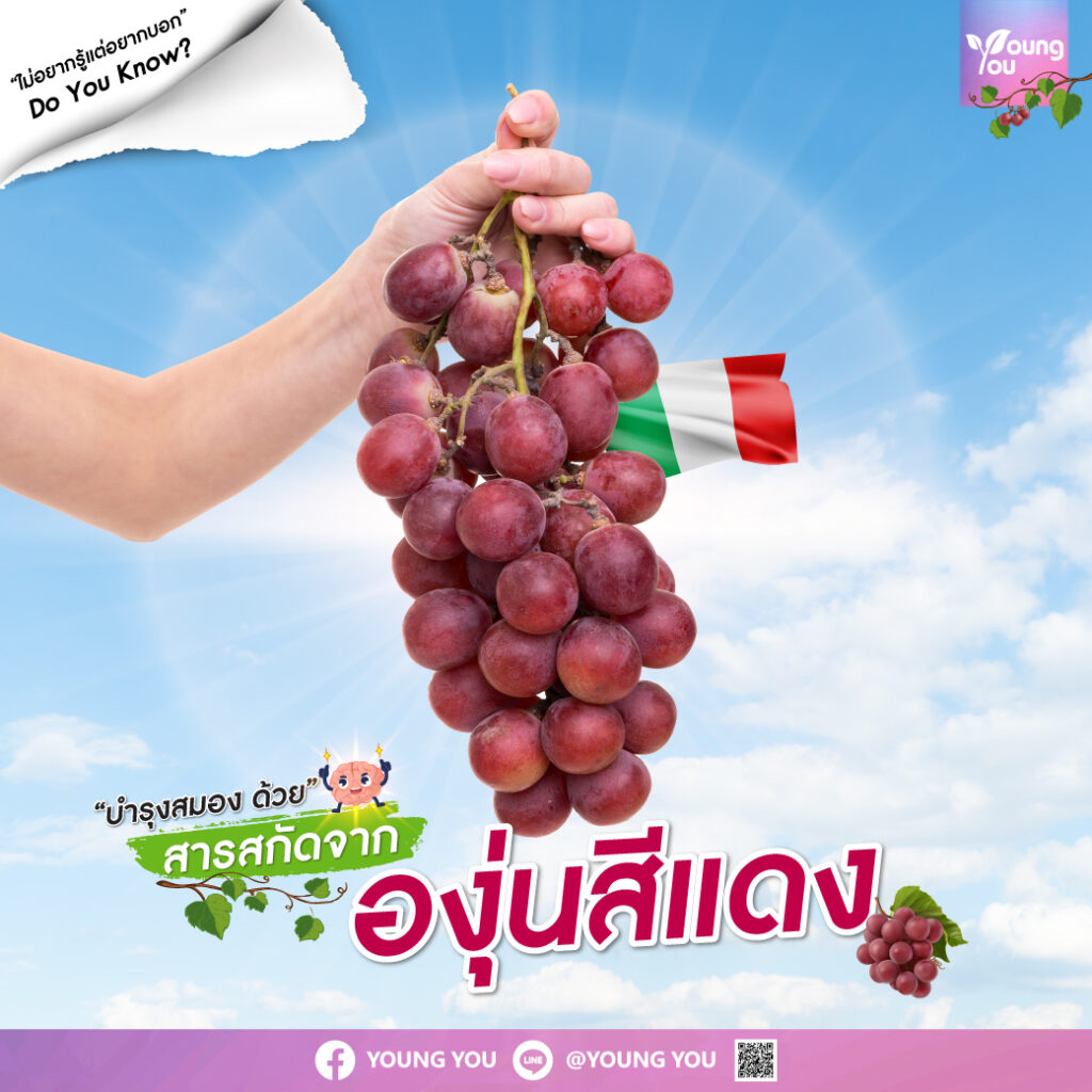 "Cognigrape" สารสกัดจากองุ่นแดง