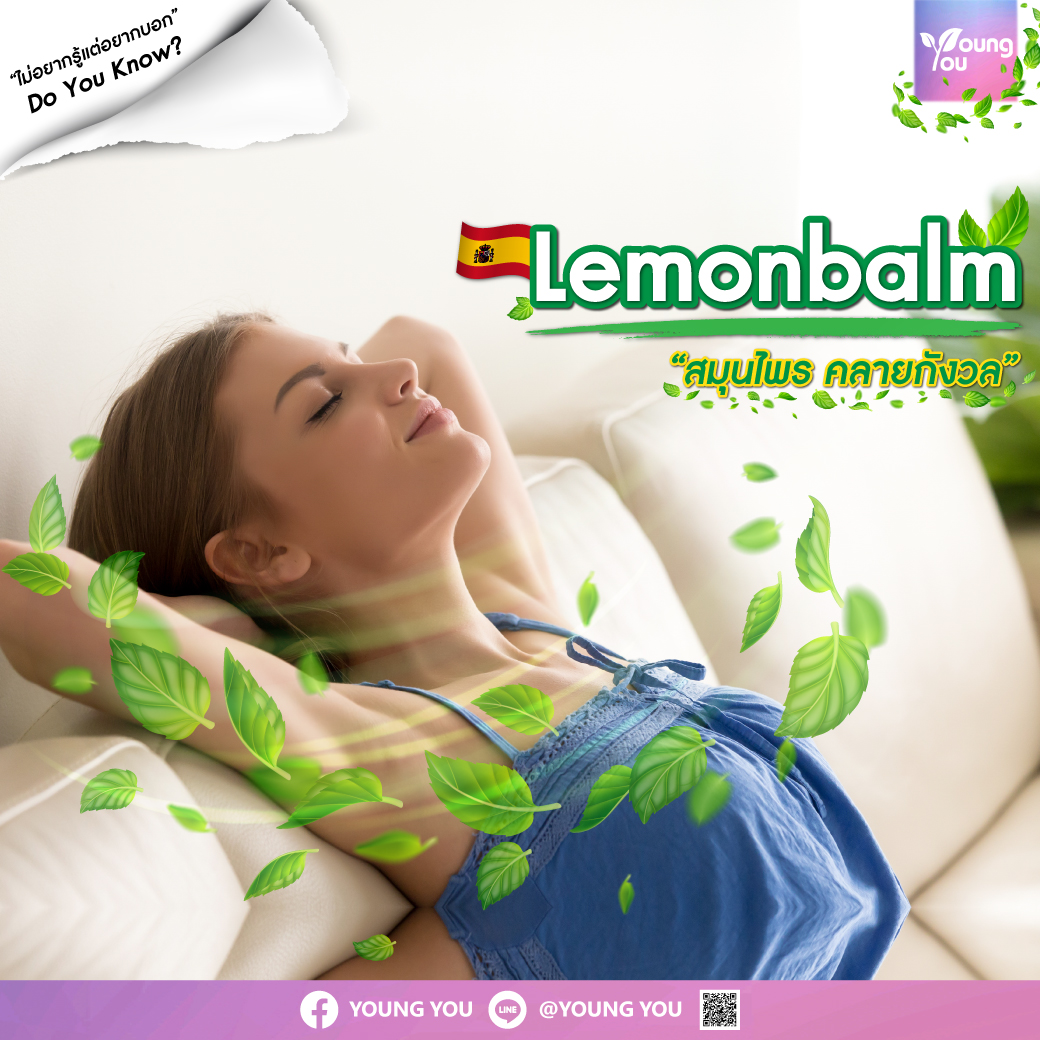 Lemon balm เลม่อนบาล์ม