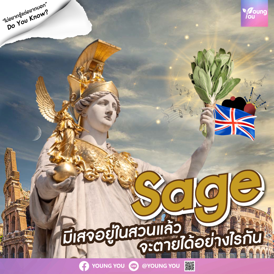 "Sage" มีเสจอยู่ในสวนแล้ว จะตายได้อย่างไรกัน